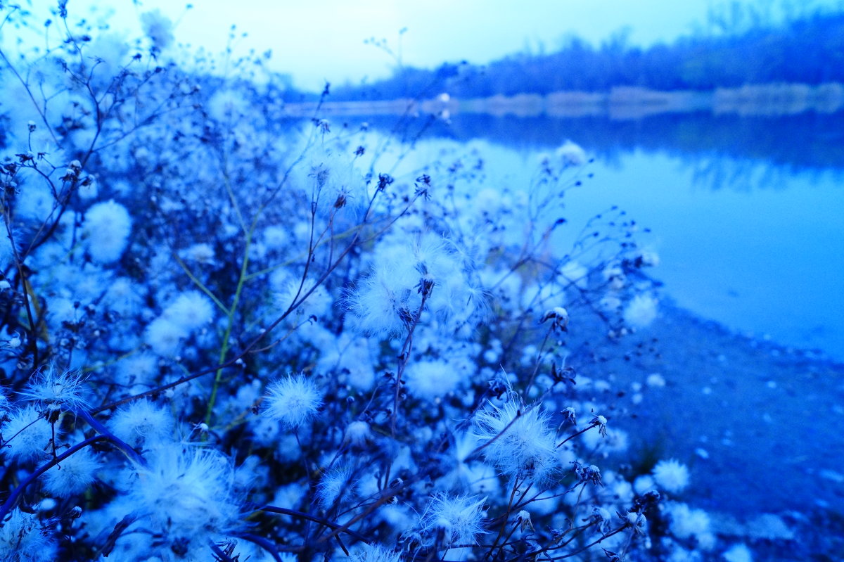 Голубая вода) - Дина Дробина