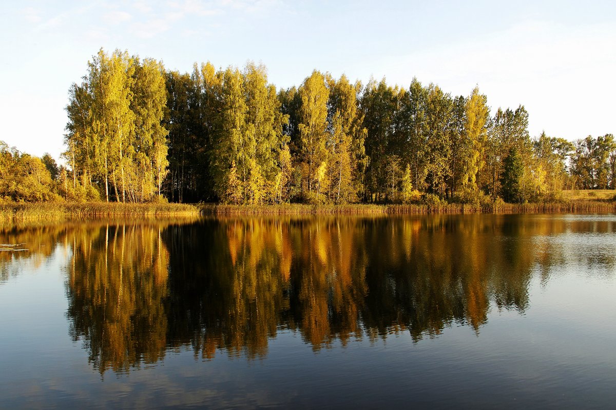 Закатными лучами - Нина Бурченкова.