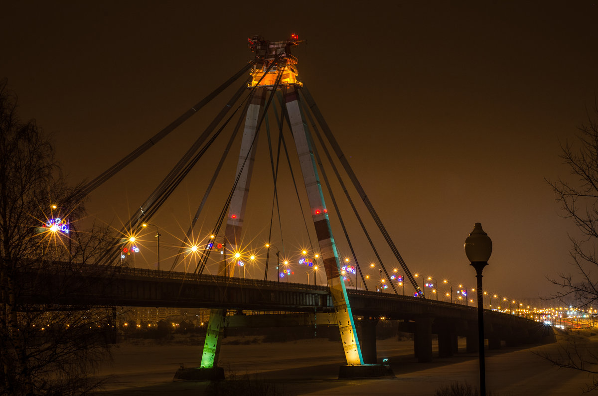 Мост через Шексну - Наталья Левина