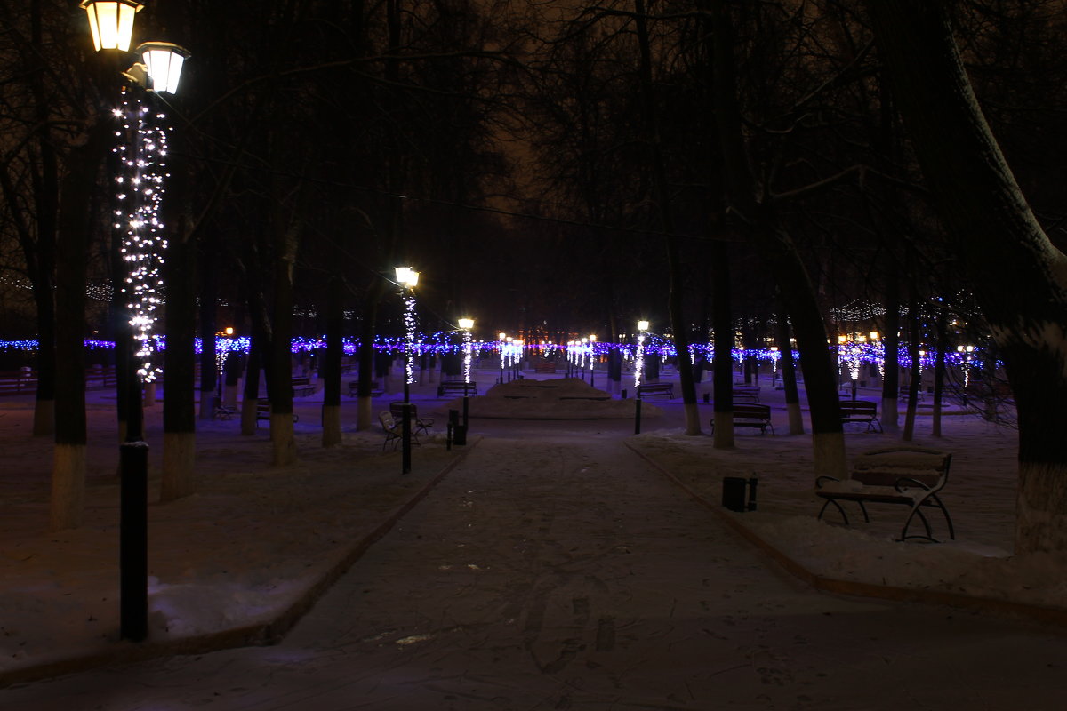 Иллюминация в парке Пушкина - Andrew 
