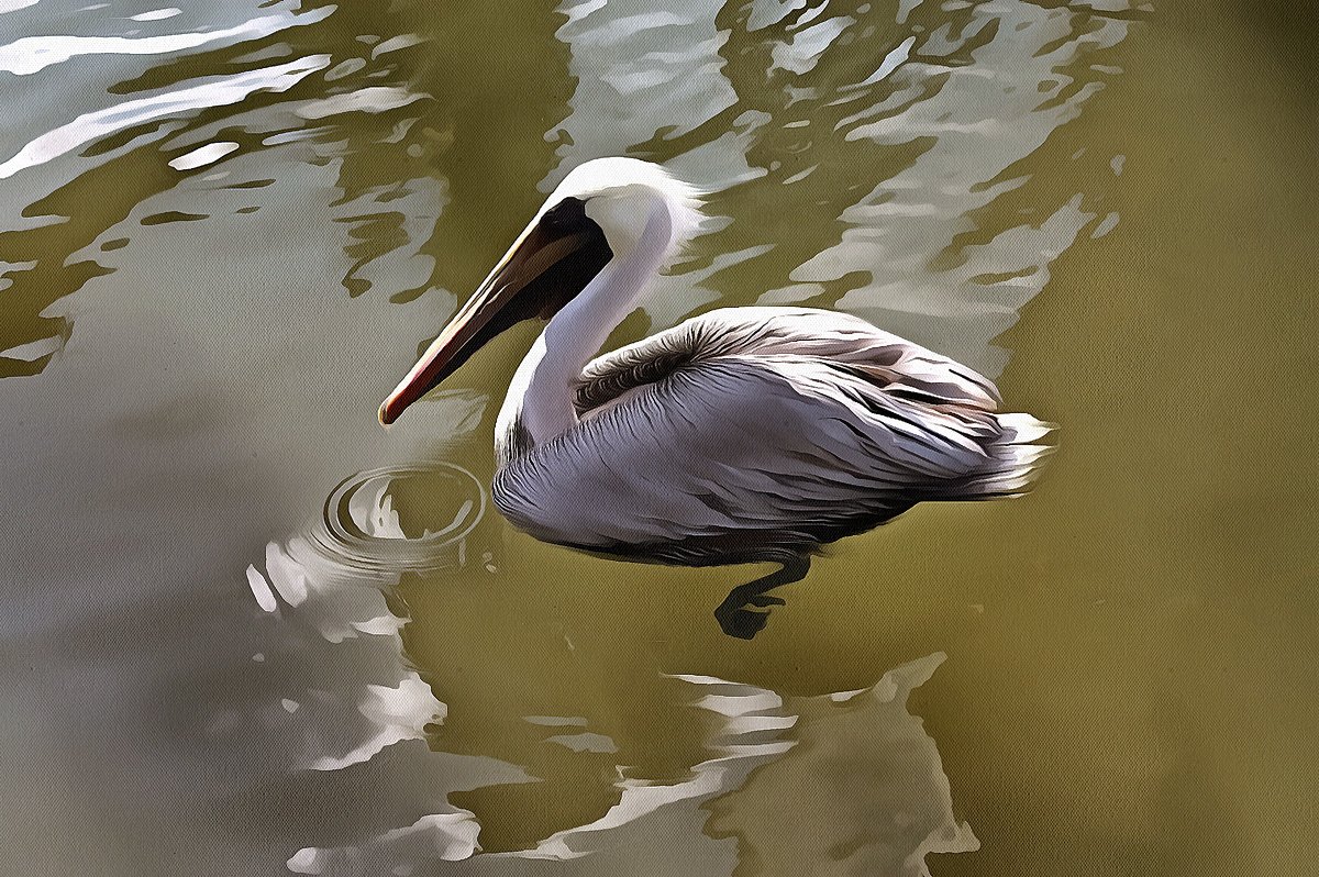 Pelican on the water. Miami 2010. Acrylic. - Танкист .