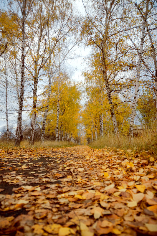 Осень - Людмила 