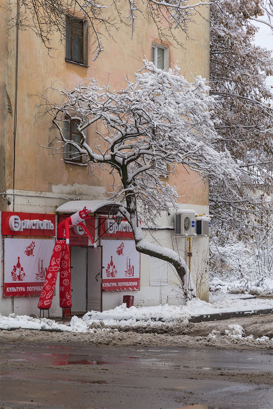 *** - Наталья Кузнецова