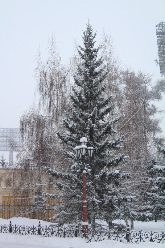 Снежным днём в Иркутске - Roman PETROV