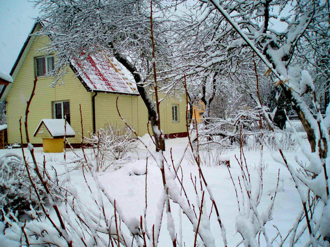 Žiema Karsakiškyje / Winter in Karsakišks - silvestras gaiziunas gaiziunas
