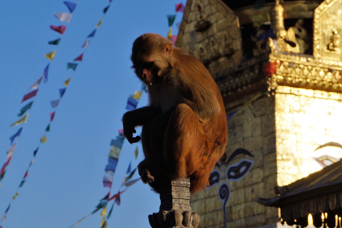Непал. Храмы Патана - Gal` ka