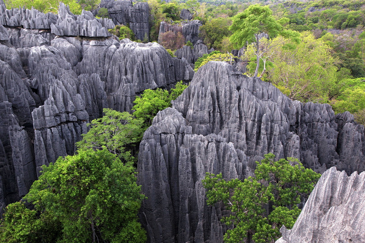 Цинги де Бемараха - каменный лес Мадагаскара - Евгений Печенин
