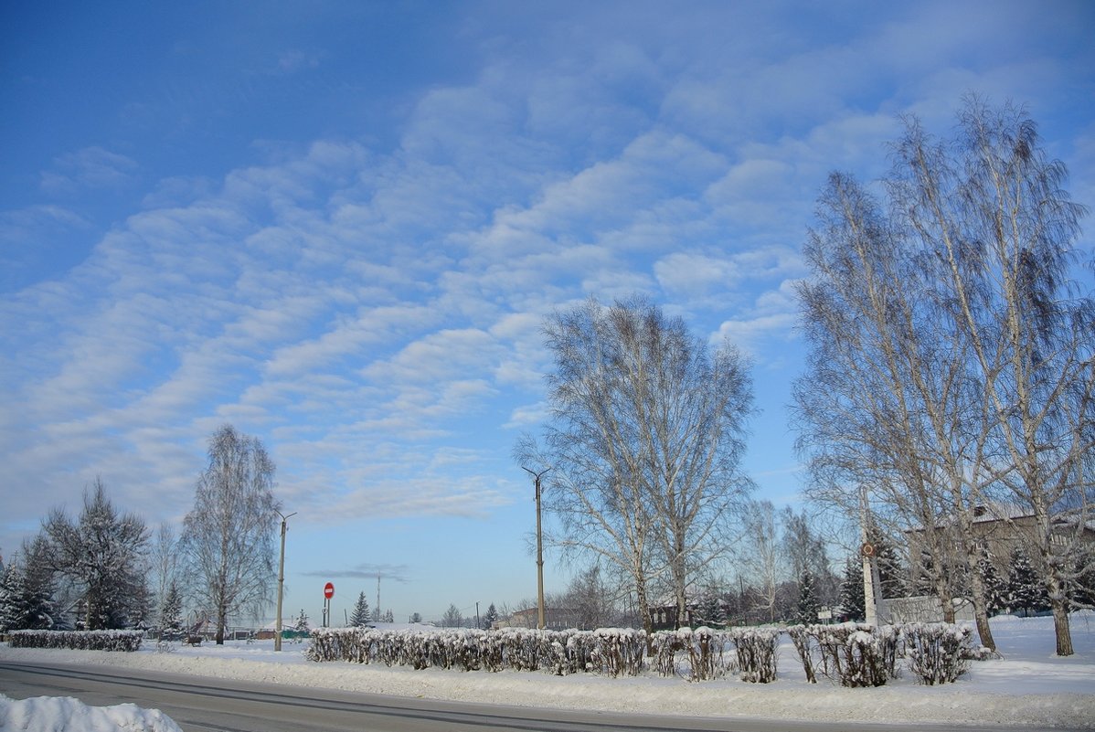 18 декабря  зима - Володя Коваленко