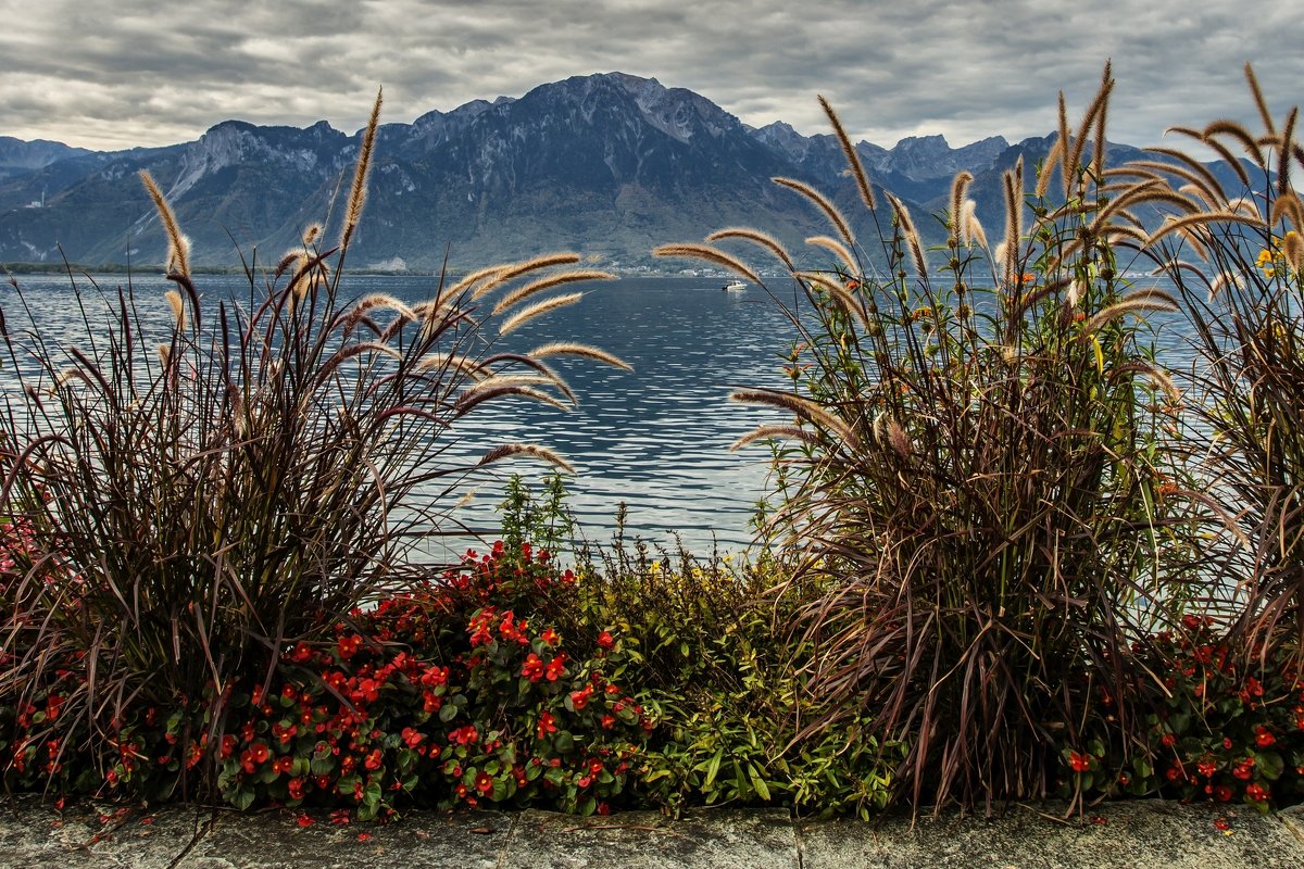 autumn in the Swiss Riviera - Dmitry Ozersky