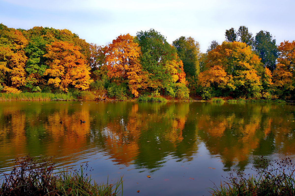 Осенний пейзаж - Ольга Маркова