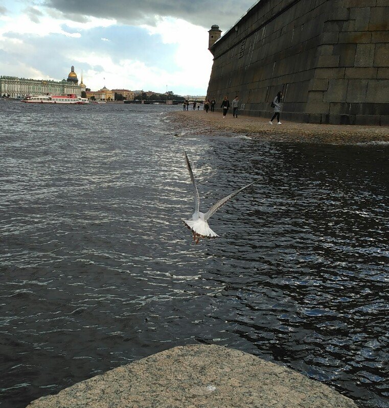 Серая вода - NeizVesten .