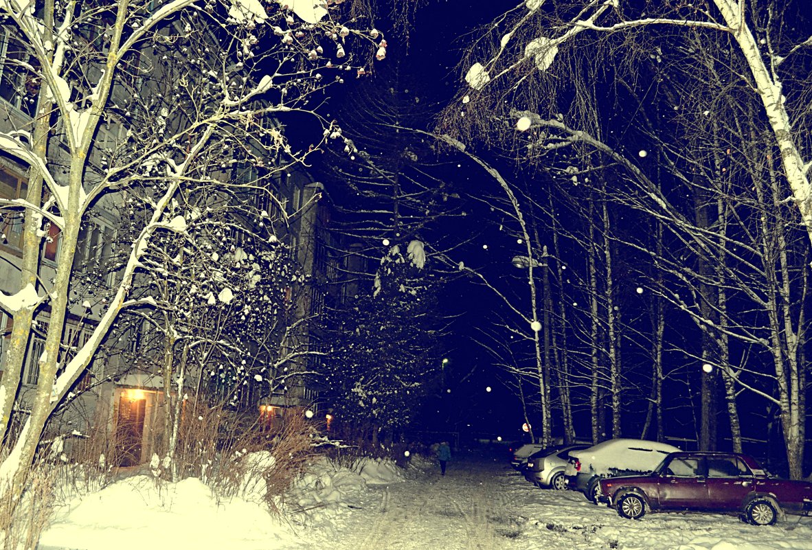 Зимний вечер - Vorona.L 