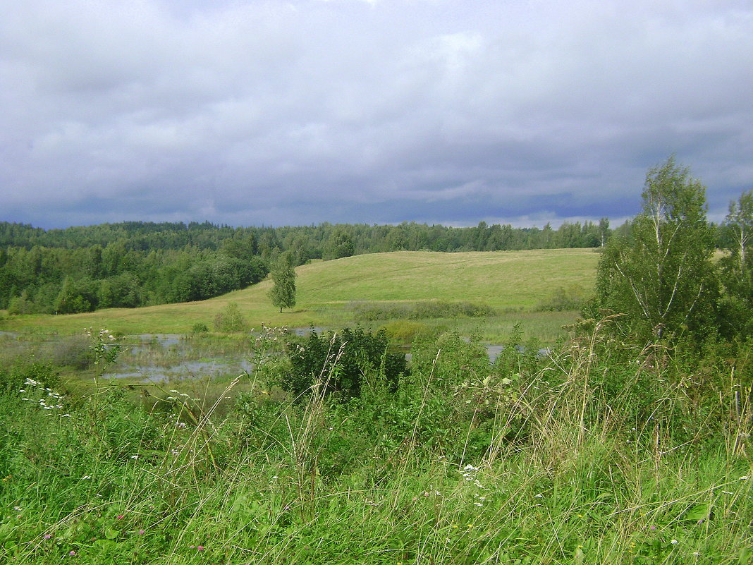 Перед грозой - Марина Домосилецкая