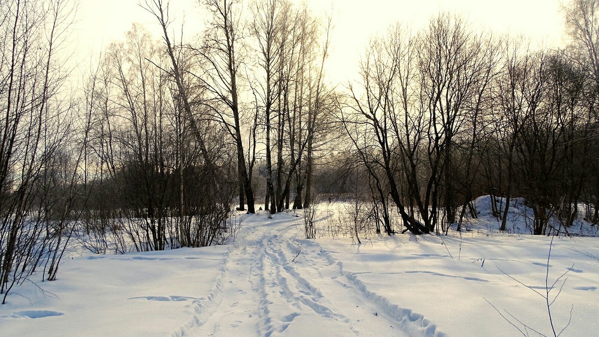 Зимний пейзаж - Милешкин Владимир Алексеевич 