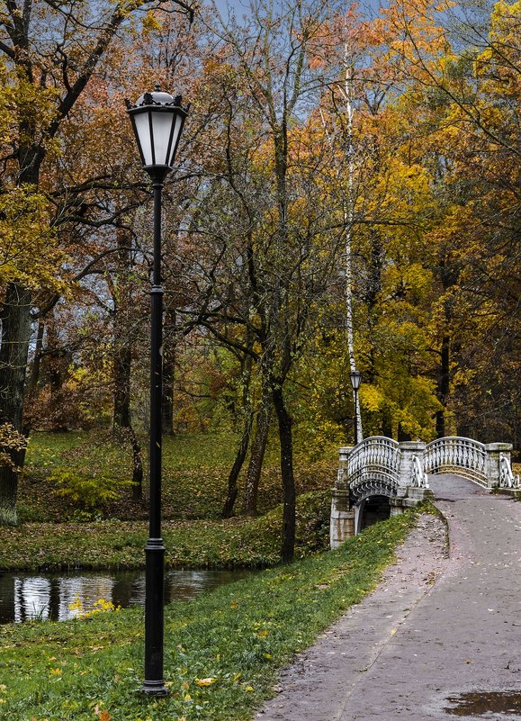 осенний парк - ник. петрович земцов