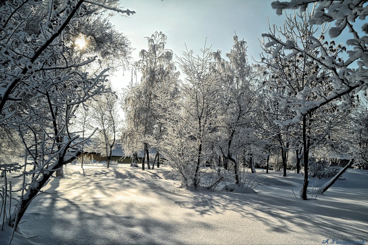 Опять снег искристый на солнце блестит..Белый, пушистый...Скоро весна!:) - Андрей Заломленков