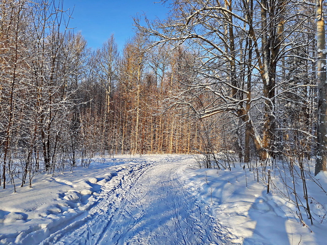 Зима - Любовь Чунарёва
