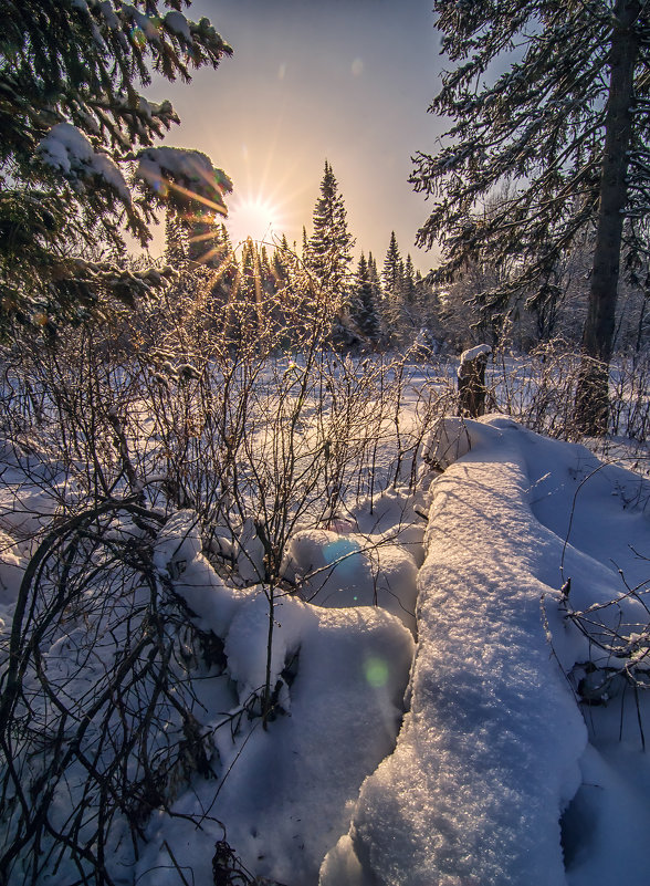 Зимний пейзаж - Аня ZагайноVа