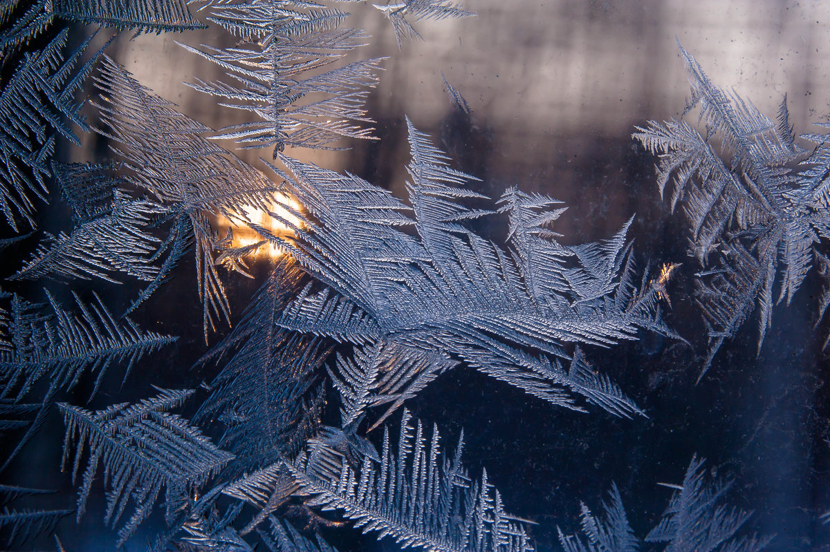 Рисует узоры мороз на оконном стекле3 - Николай Сапегин