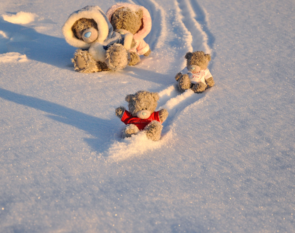 Веселое медвежье семейство - Наталья Жукова