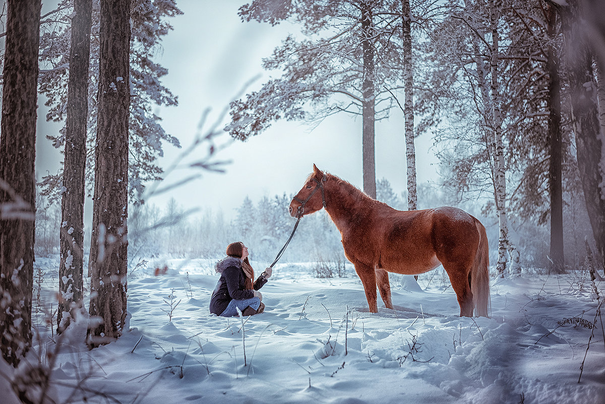 В зимнем лесу - Татьяна Кам