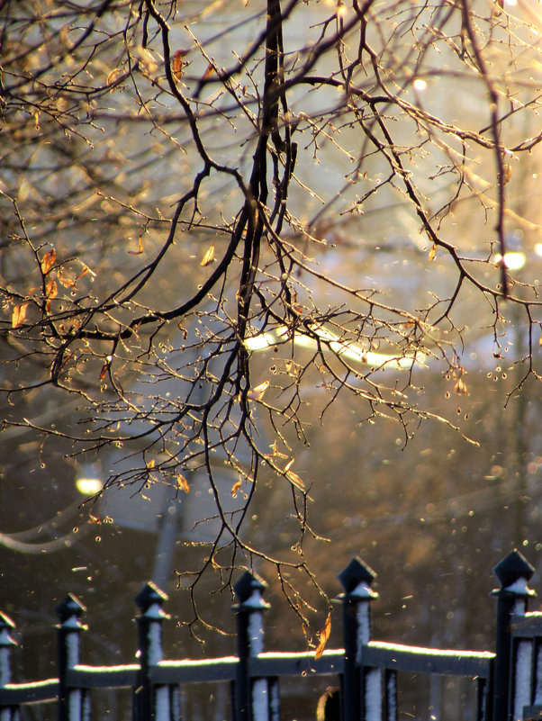 Солнечным зимним утром - Ирина Румянцева