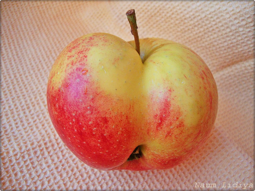Сердечное яблоко - Лидия (naum.lidiya)
