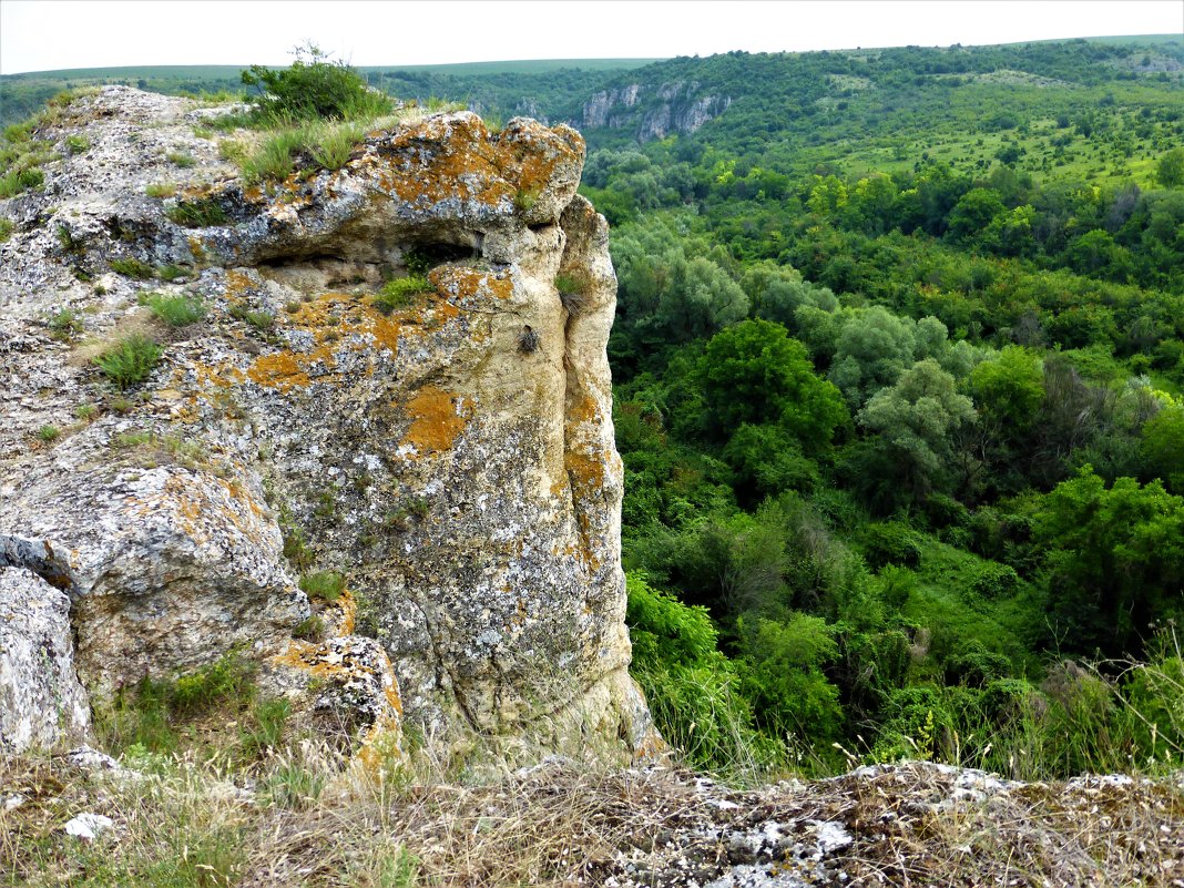 Природный парк "Русенски Лом" Болгария - wea *