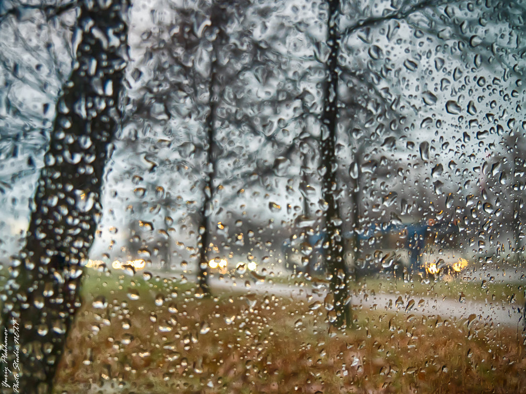 Питер, а за окном влажно,мокро,сыро,да просто типа дождь! - Юрий Плеханов