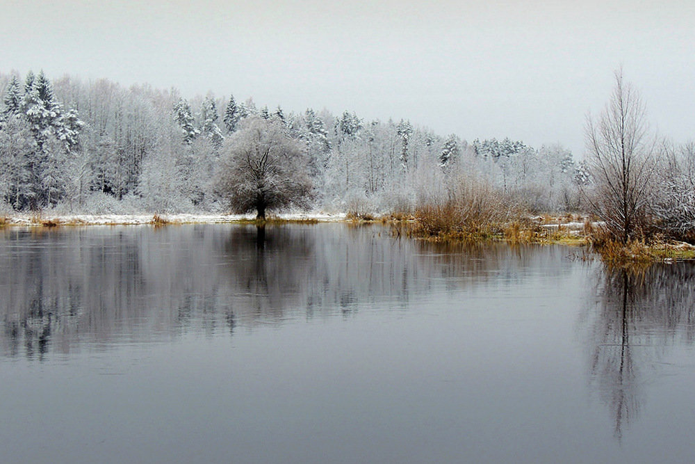 В зимней сказке лес стоит, речка отражение его в себе хранит... - Павлова Татьяна Павлова