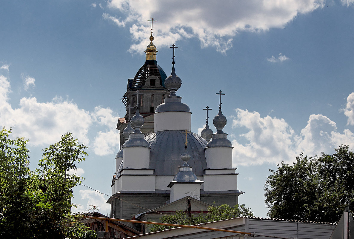 Купола Рождественского храма. Брянская область - MILAV V