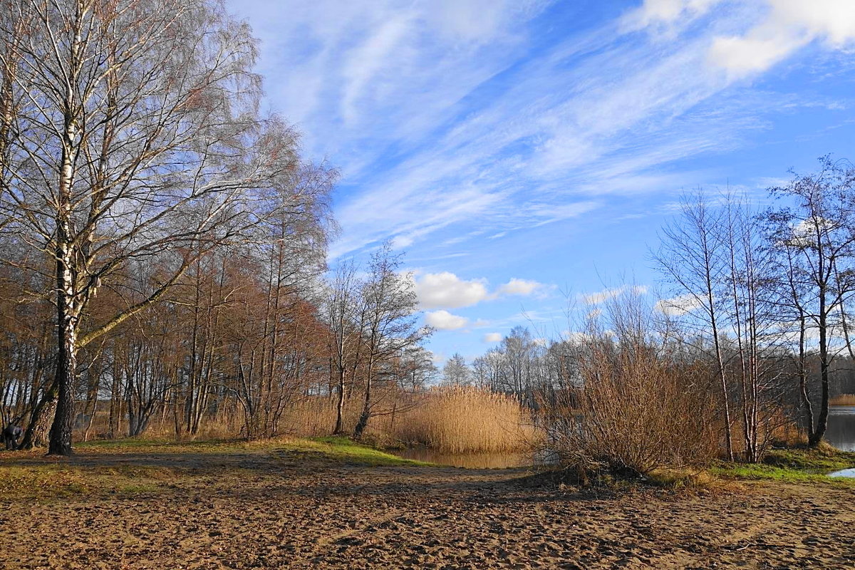 Солнечным январским днём - Маргарита Батырева