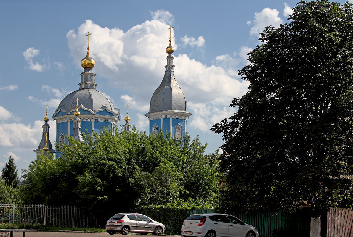 Купола собора. Новозыбков. Брянская область - MILAV V