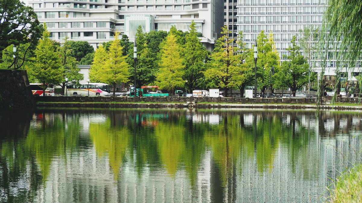 Осень в Токио - wea *