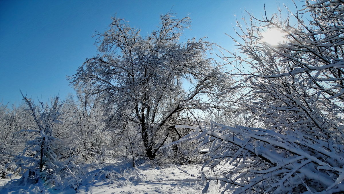 Зима-2018 Фото №3 - Владимир Бровко