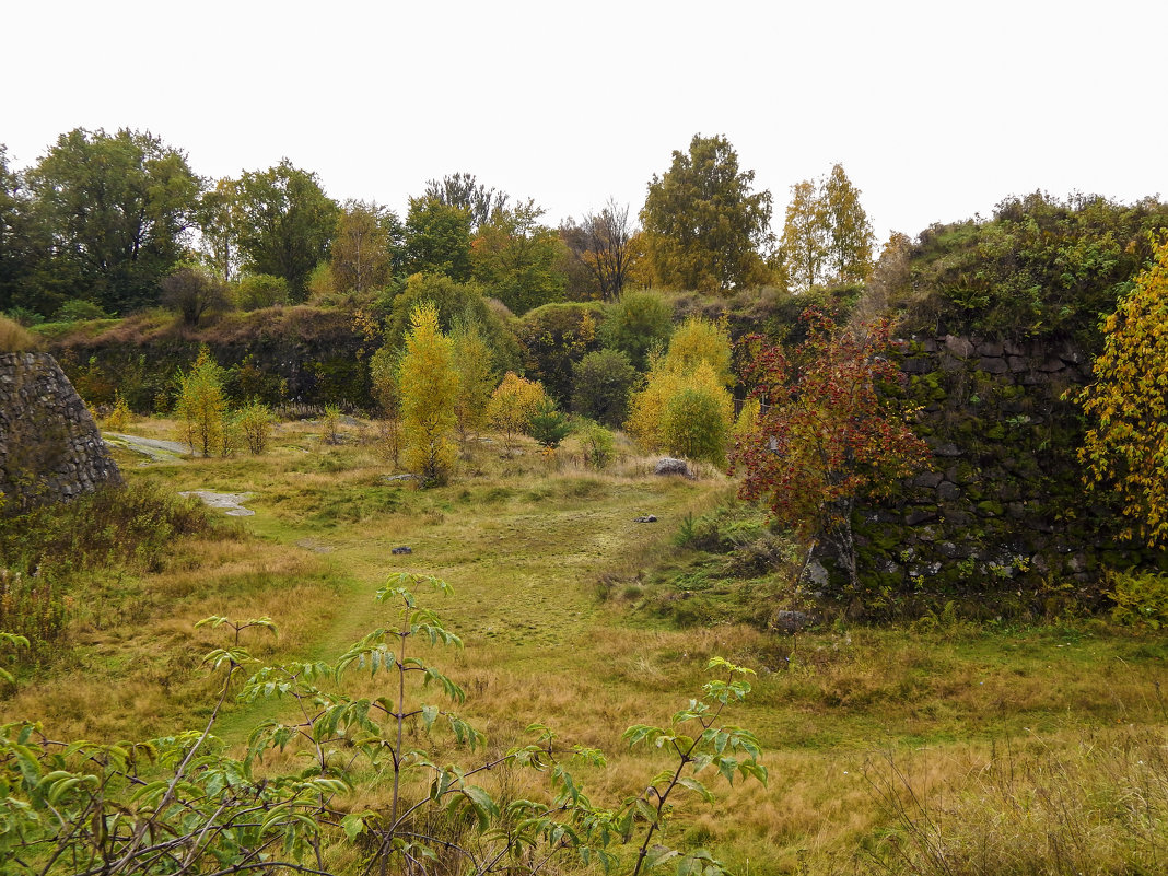 По дороге в Монрепо. - Лариса (Phinikia) Двойникова