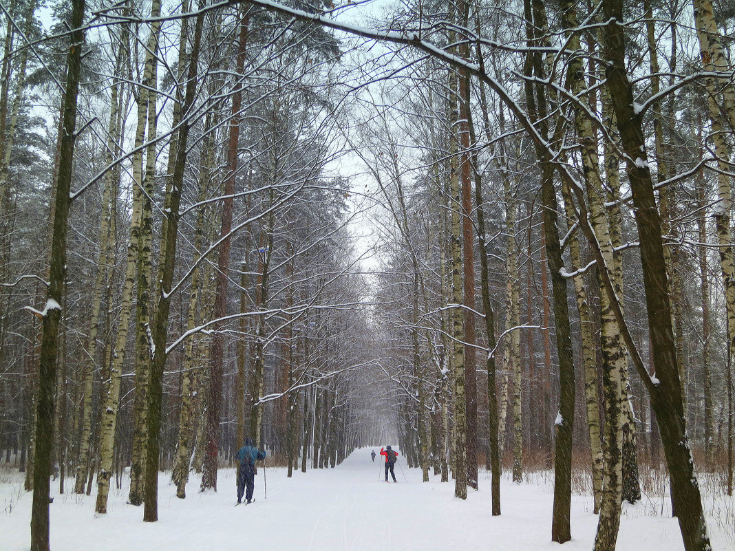 Зима - Валентина Жукова