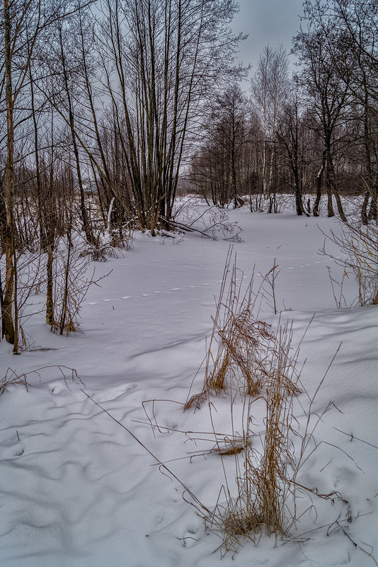 Зима в Дрезне 4 - Андрей Дворников