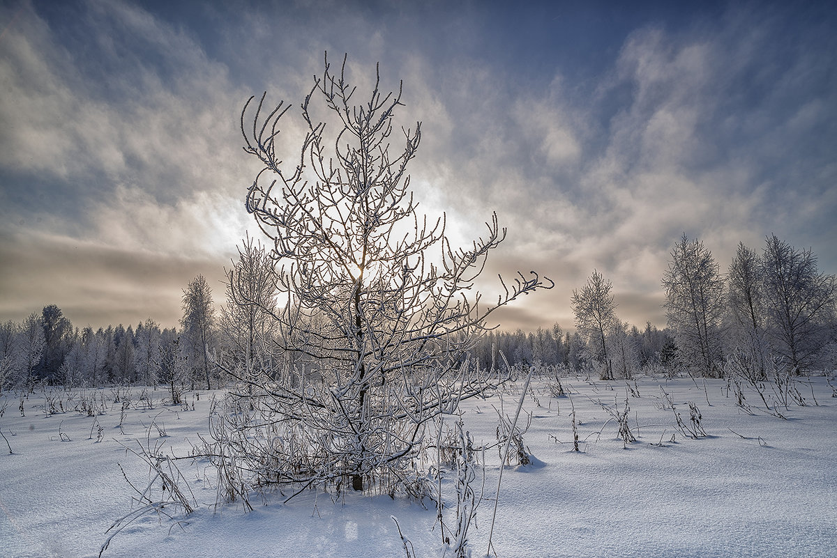 winter - Николай Колобов