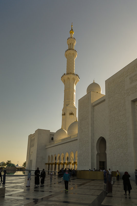 Мечеть шейха Заеда - Gennadiy Karasev