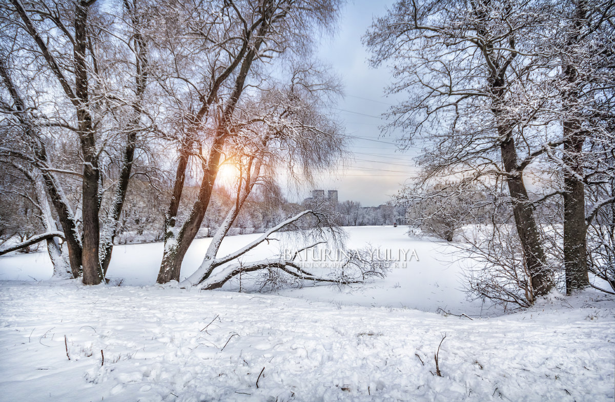 Зима в городском парке - Юлия Батурина