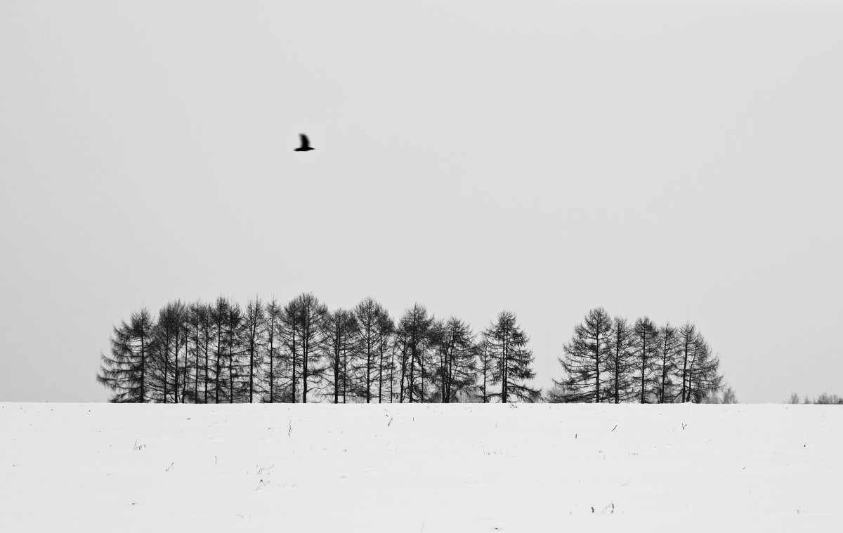 winter - Svetlana Orinina