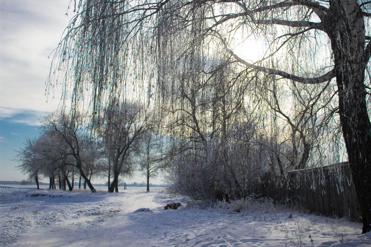 Зима - Niki_ Nik