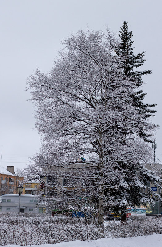 зима в городе - Светлана Ку