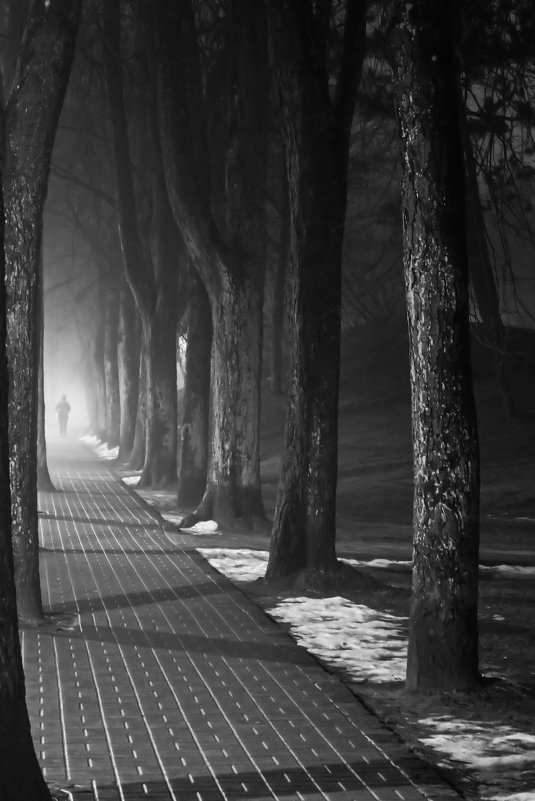В тумане. - Igor Shoshin