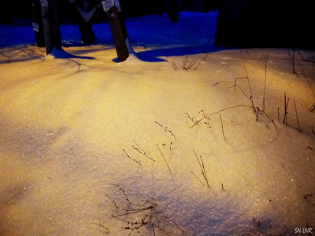 Мобильное фото #6. Последний день января - 5 снежных фото - Наталья (ShadeNataly) Мельник