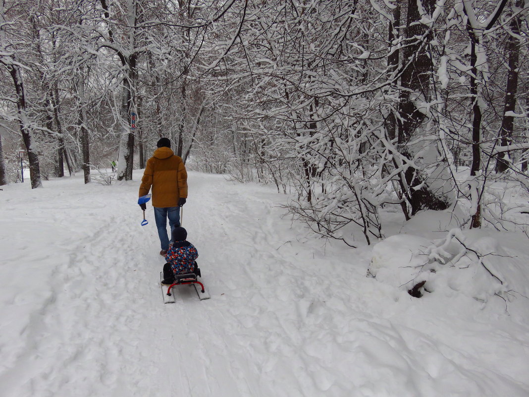 Настоящая зима пришла в последний день января - Андрей Лукьянов