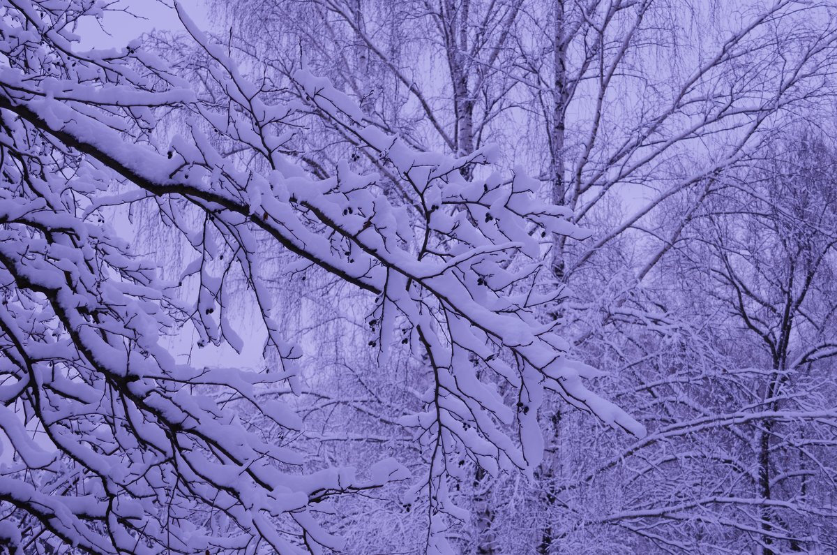 Зима – это время, когда ты ждешь лета, но в то же время безумно радуешься снегопаду - Ольга Русанова (olg-rusanowa2010)