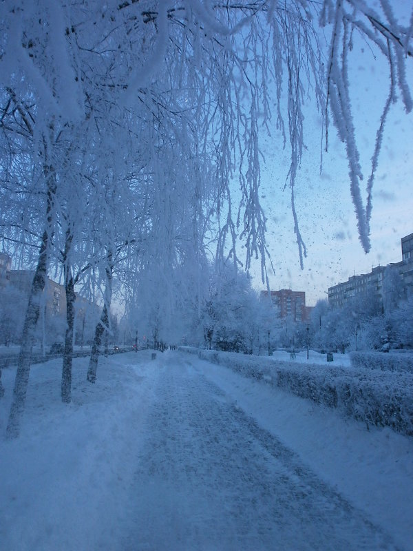Зима в Городе ... - Алёна Савина
