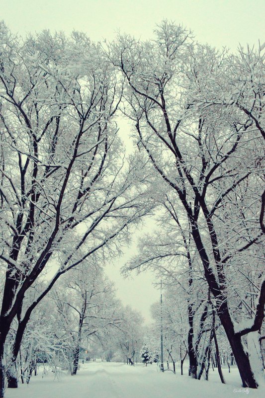 волшебная зима - Татьяна 